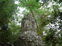 Nordtor des Dschungeltempels (1)