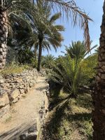 Rundgang im Bergdorf Misfat Al Abriyeen