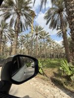 Rundgang in dem alten Dorf Birkat Al Mauz