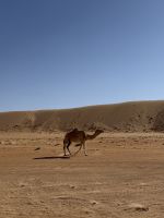 Drohnenfotos in der „Wahiba Sands“ Sandwüste