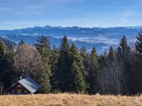 Bregenzer Wald Blick