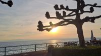 Sonnenuntergang Promenade Friedrichshafen