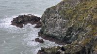 061 - Cliff Walk in Howth