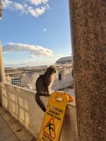 Sultan Ahmet Moschee Istanbul - Türkei