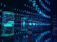 Museum of the Future