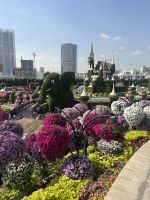 Dubai Miracle Garden