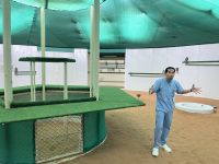 Abu Dhabi Falkenkrankenhaus