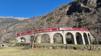 Rhätische Bahn am Kreisviadukt in Brusio