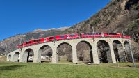 Bernina Express am Kreisviadukt in Brusio