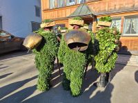 Schö-Wüeschte beim Schellen