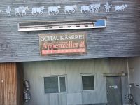 in die Schaukäserei