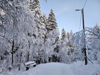 Winterlandschaft auf dem Fløyen