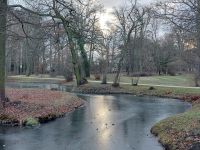 14 winterlicher Schlosspark
