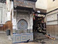 143)  Medina von Fèz, Marokko