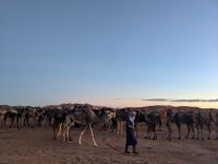 191) Ausflug zum Sonnenuntergang in die Wüste von Erfoud, Marokko