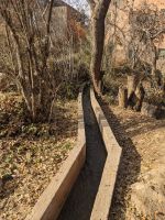 199) Oase von Tinghir, Marokko