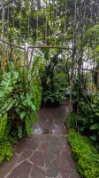 Botanischen Garten von Singapur