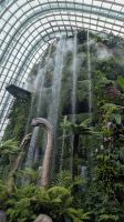 Cloud Forest - Jurassic World The Experience