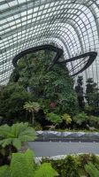 Cloud Forest - Jurassic World The Experience