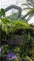 Cloud Forest - Jurassic World The Experience