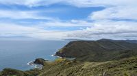 Cape Reinga