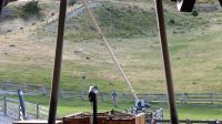 Walter Peak Farm - Schafshow