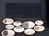 Besucherzentrum Arche Nebra.jpg