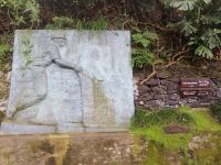 Monte: die berühmten Korbschlittenfahrten (Carros de Cesto)