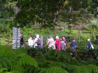 Besuch des prachtvollen Botanischen Gartens von Funchal: fachkundige Führung durch Paula