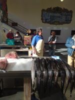 Besuch der Markthalle Mercado dos Lavradores, Funchal