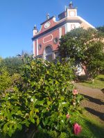 Besuch der Quinta do Palheiro - eine Gartenanlage der traditionsreichen Familie Blandy