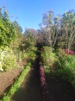 Besuch der Quinta do Palheiro (Garten der Familie Blandy)