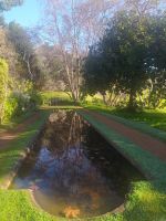 Besuch der Quinta do Palheiro (Garten der Familie Blandy)