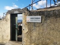 Besichtigung der Quinta da Boa Vista, Orchideengarten