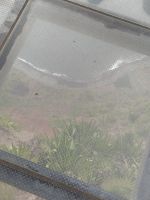 Cabo Girão, eine der höchsten Steilklippen Europas. Skywalk