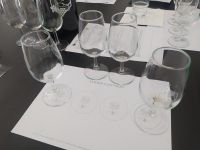 Weinverkostung in der Frauen-Genossenschaft CAF - Cooperativa Agricola do Funchal