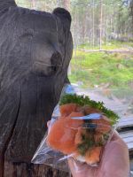 finnischer Snack mit Bär