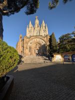 Hier in voller Pracht und bei Sonnenschein.