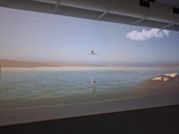 Rundumkino Seehundstation Norddeich