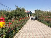 Besichtigung der ostasiatischen Dunganen-Moschee, Karakol