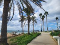 Neujahrsspaziergang zum Hafen von Paphos 