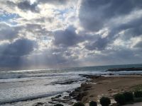 Neujahrsspaziergang zum Hafen von Paphos 