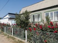 Zu Besuch bei einer dunganischen  Familie im Dorf Irdyk, Karakol