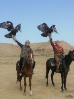 Vorführung der Greifvogeljagd durch Berkuttschi