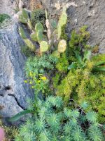 Xlendi Bay/Gozo/Malta
