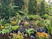 3. Tag: Stadtrundfahrt durch Singapur – Nationaler Orchideengarten im Botanischen Garten