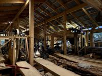 5. Tag: Auckland bis Paihia – Besuch des Kauri-Museums in Matakohe