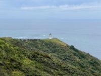 6. Tag: Tagesausflug zum Cape Reinga – Spaziergang zum Leuchtturm am Cape Reinga