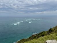 6. Tag: Tagesausflug zum Cape Reinga – Spaziergang zum Leuchtturm am Cape Reinga – Zusammentreffen der Meere