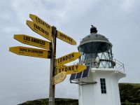 6. Tag: Tagesausflug zum Cape Reinga – Spaziergang zum Leuchtturm am Cape Reinga